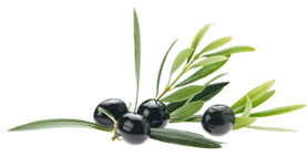 Ингредиент оливкового масла